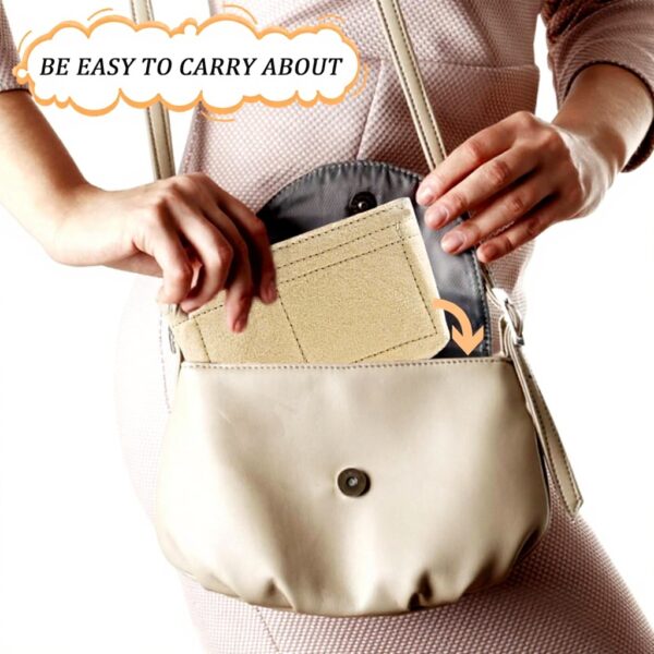 Organisateur sac Longchamp GMMG feutre poches multiples mini